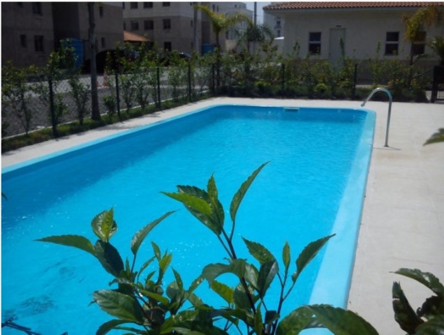 Fale conosco