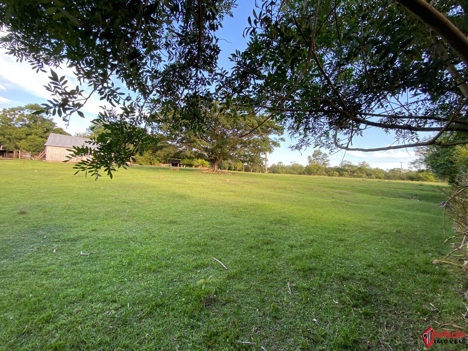 Fale conosco